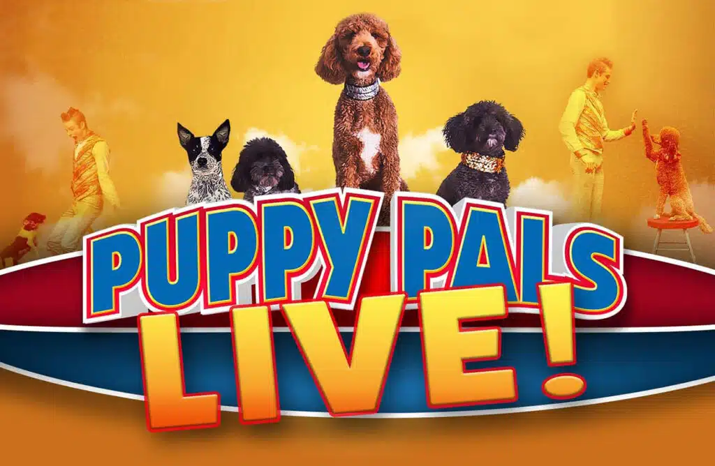 Puppy Pals LIVE!